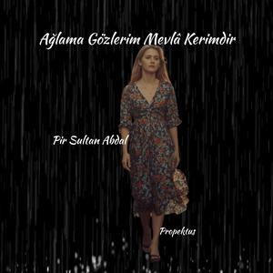 Ağlama Gözlerim Mevlâ Kerimdir - Pir Sultal Abdal - Anadolu Rock
