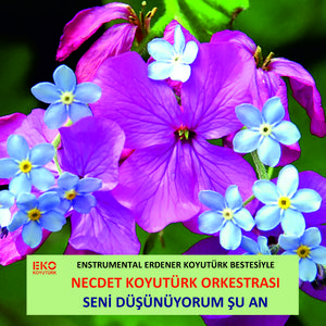 Seni Düşünüyorum Şu An (Enstrümantal)