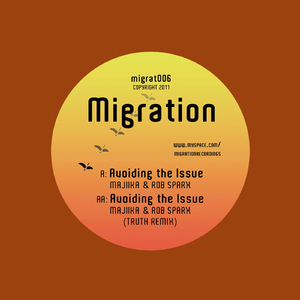 Avoiding The Issue (Truth Remix)