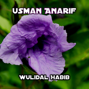 Wulidal Habib