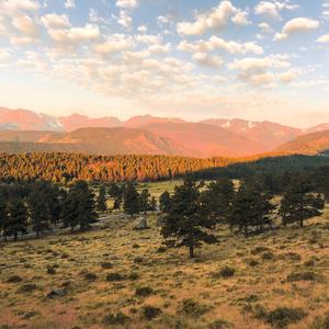 Turning to Earth (feat. Raymond)