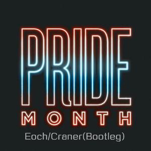 Taylor Swift -Love Story(Echo&Craner Bootleg)