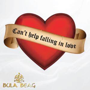 Can't Help Falling In Love