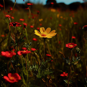 3:13 A.M. (Signos de Fuego)