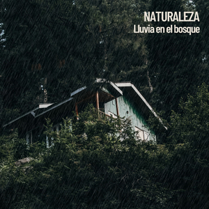 Sonidos relajantes del bosque