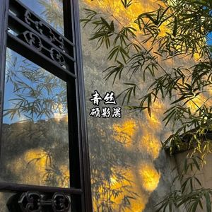 青丝（小黄人版）