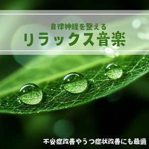 音楽療法のハーモニーで整う夜