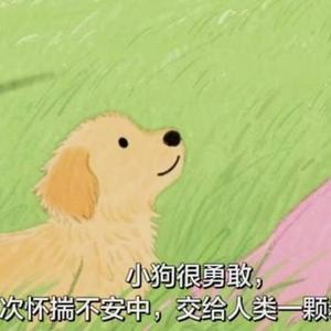 小狗保护人类