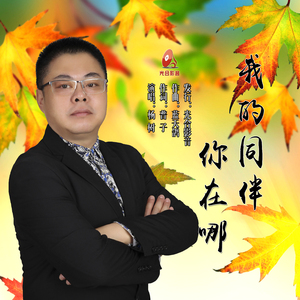 我的同伴你在哪