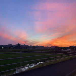 未来のように煌めいて