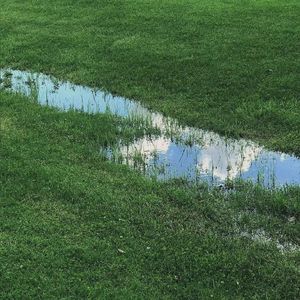 我喜欢上你时的内心活动 （Cover：陈绮贞）