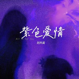 紫色爱情（伴奏）