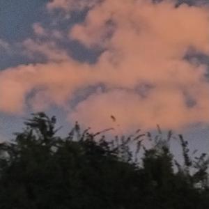 还是你（Prod by ZS Beats)