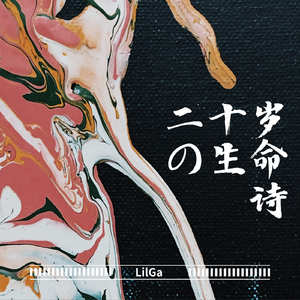 20岁的生命诗 伴奏