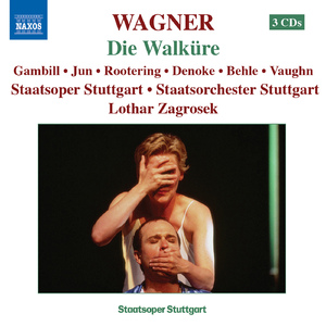 Die Walküre:Act II Scene 4: So jung und schon erschimmerst du mir (Siegmund, Brunnhilde)