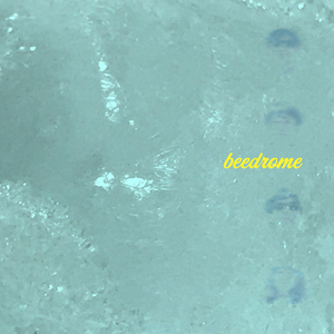 Icenone