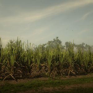 【FREE】"向生" Type Beat