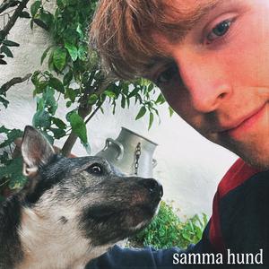 Samma hund