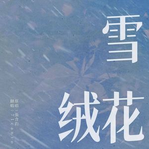雪绒花（翻自:张含韵）