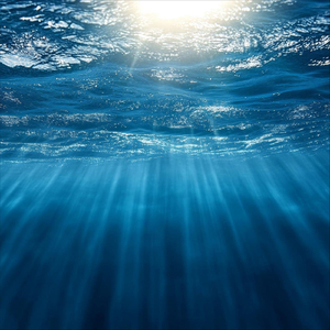 Under the Sea