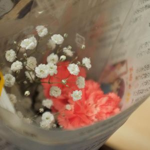 会遇到送花的人