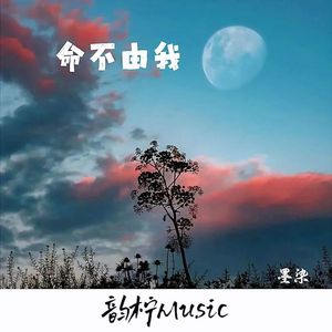 命不由我