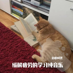 温暖解压的学习轻音乐