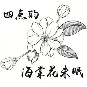 四点的海棠花未眠