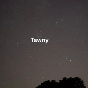 Tawny