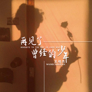 再见了曾经的少年