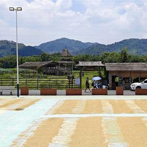 我和我的祖国 (中老年人的蹦跶神曲)