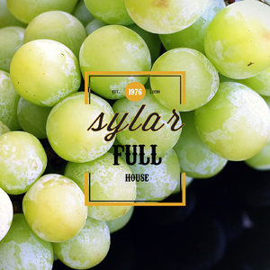 Full House (Phraktal Royal Flush Mix)