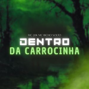 Dentro da Carrocinha