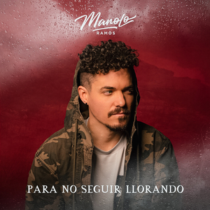 Para No Seguir Llorando