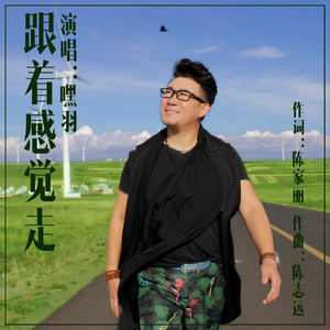 跟着感觉走