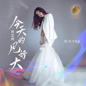 今天的风好大 (DJ默涵版)