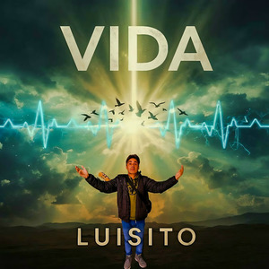 Vida