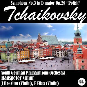 Symphony No.3 "Polish" in D Major, Op.29: V. Finale, Allegro con fuoco (Tempo di polacca)