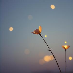 恋多き君の中で by s46sky