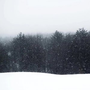 我寄人间雪一封