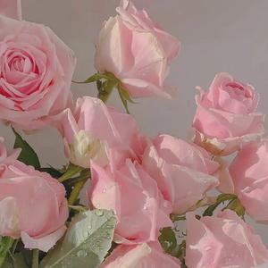 门没锁（可爱版）