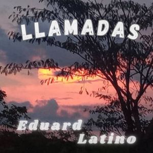 Llamadas