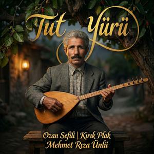 Tut Yürü