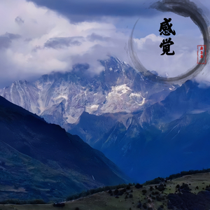 感觉