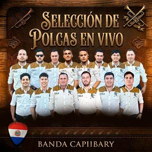 Selección de Polcas (En vivo)