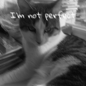 I'm not perfect
