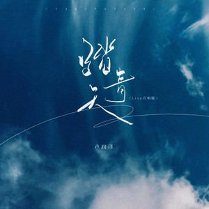 踏青天 (DJ默涵版)