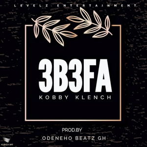 3B3FA