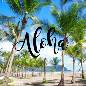 Aloha