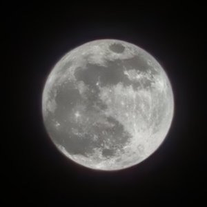 荒唐到无可救药只为博你一笑